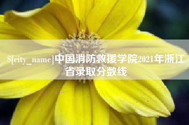扬中中国消防救援学院2021年浙江省录取分数线