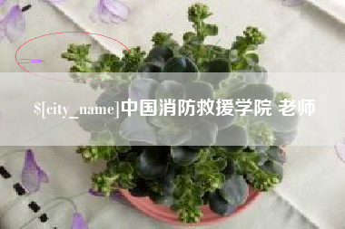 扬中中国消防救援学院 老师