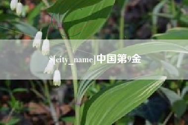 扬中中国第9金