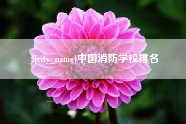 扬中中国消防学校排名