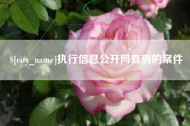 扬中执行信息公开网查到的案件