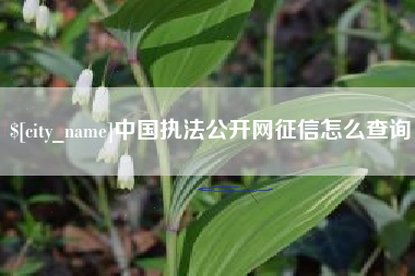 扬中中国执法公开网征信怎么查询