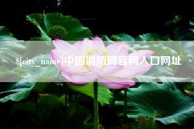 扬中中国消防网官网入口网址