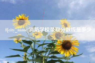 扬中消防学校录取分数线是多少