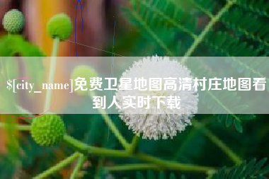 扬中免费卫星地图高清村庄地图看到人实时下载