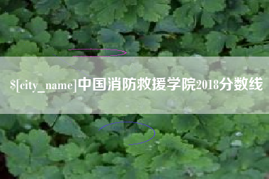 扬中中国消防救援学院2018分数线