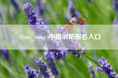 扬中中国消防报名入口