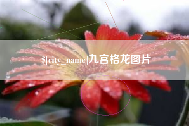 扬中九宫格龙图片