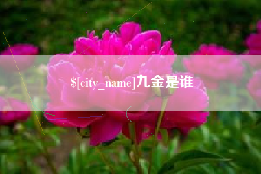 扬中九金是谁