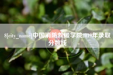 扬中中国消防救援学院2019年录取分数线
