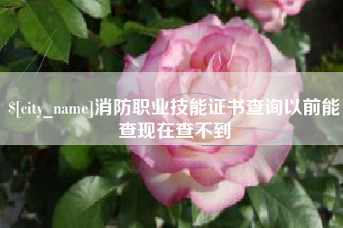 扬中消防职业技能证书查询以前能查现在查不到