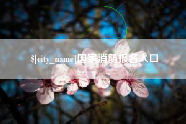 扬中国家消防报名入口