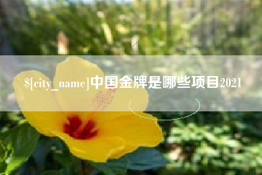 扬中中国金牌是哪些项目2021
