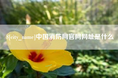 扬中中国消防网官网网址是什么