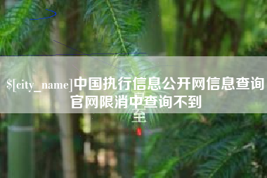 扬中中国执行信息公开网信息查询官网限消中查询不到