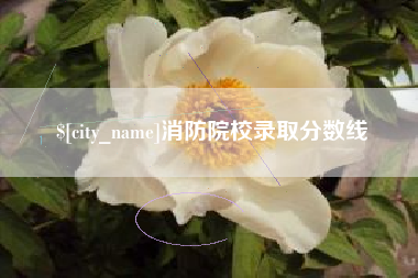扬中消防院校录取分数线