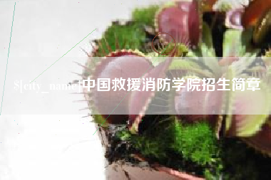 扬中中国救援消防学院招生简章
