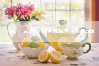 扬中中国消防救援学院分数2020
