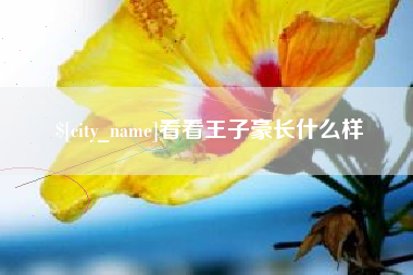 扬中看看王子豪长什么样