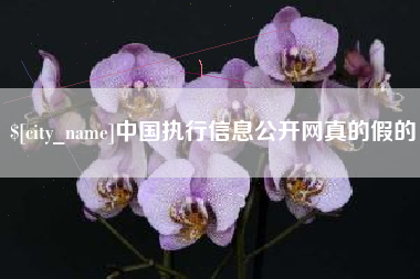 扬中中国执行信息公开网真的假的