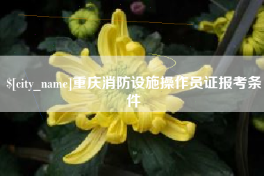 扬中重庆消防设施操作员证报考条件