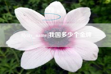 扬中我国多少个金牌