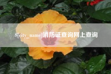 扬中消防证查询网上查询