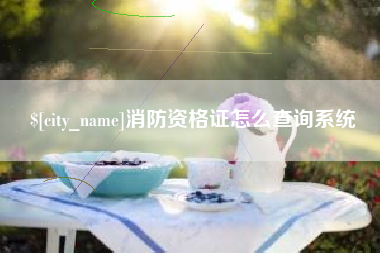 扬中消防资格证怎么查询系统