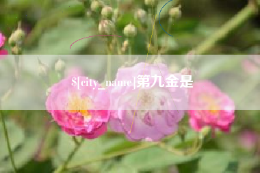 扬中第九金是