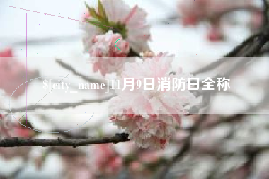 扬中11月9日消防日全称