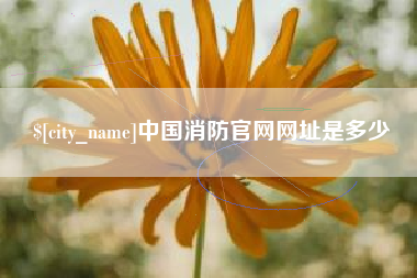 扬中中国消防官网网址是多少