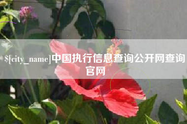 扬中中国执行信息查询公开网查询官网