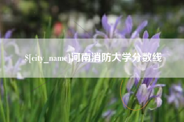 扬中河南消防大学分数线