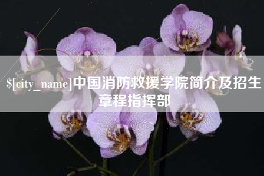 扬中中国消防救援学院简介及招生章程指挥部