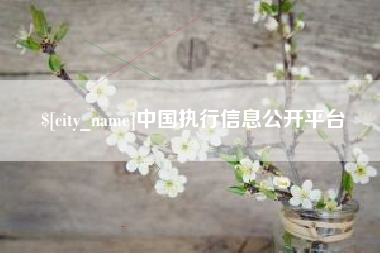 扬中中国执行信息公开平台