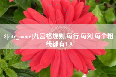 扬中九宫格规则,每行,每列,每个粗线都有1-9