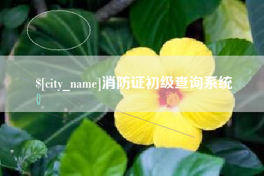 扬中消防证初级查询系统