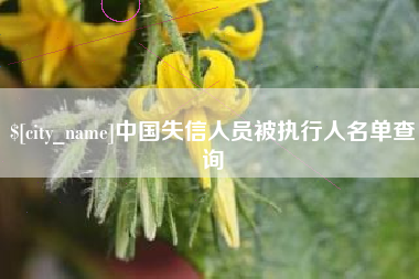 扬中中国失信人员被执行人名单查询