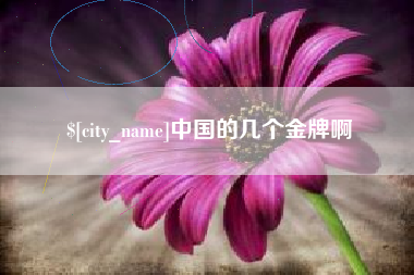 扬中中国的几个金牌啊