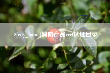 扬中消防产品cccf认证目录