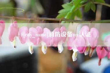 扬中消防设备ccc认证