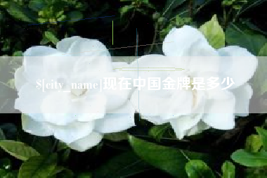 扬中现在中国金牌是多少