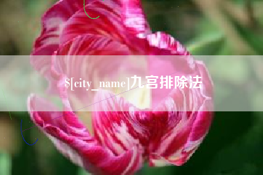 扬中九宫排除法