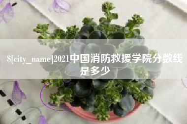 扬中2021中国消防救援学院分数线是多少
