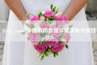 扬中中国消防救援学院录取分数线2020