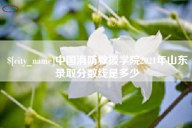 扬中中国消防救援学院2021年山东录取分数线是多少