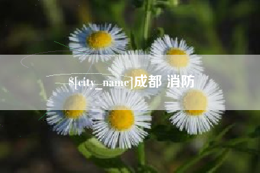 扬中成都 消防