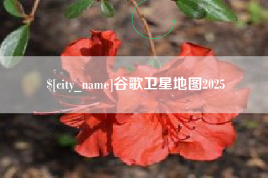 扬中谷歌卫星地图2025