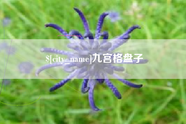 扬中九宫格盘子