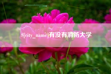 扬中有没有消防大学